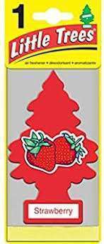 LITTLE TREE STRAWBERRY