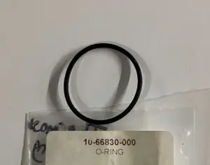 BETA THERMOSTAT ORING