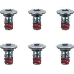 BOLTS ROTOR M8X15
