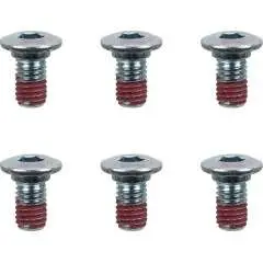 BOLTS ROTOR M8X15