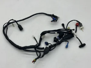 Main Harness