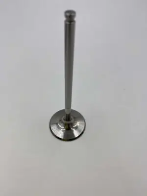 INTAKE VALVE