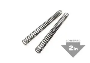 BETA 48MM SACHS FORK SPRING, 2"" LOWER, .38
