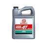 MOTOREX CROSS POWER 4T 10W/50 4L