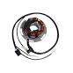 IGNITION STATOR 250 SE EVO