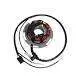 IGNITION STATOR 250 SE EVO