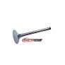 EXHAUST VALVE