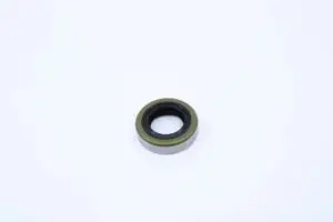 BETA OIL SEAL 14.24.6 B1SL